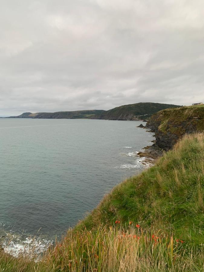 Wild Coastal Retreat At Troed Y Rhiw Aberporth, West Wales Villa Exterior photo
